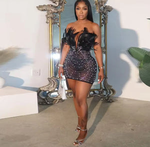 Women Diamonds Hot Rhinestones Feather Mesh Dress