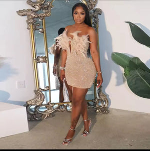 Women Diamonds Hot Rhinestones Feather Mesh Dress